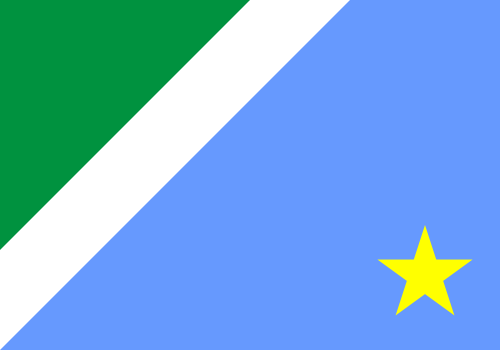 bandeira Mato Grosso do Sul