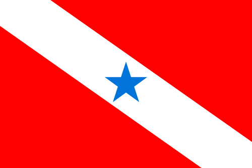 bandeira Pará