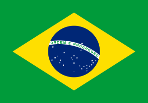 Resultado de imagem para bandeiras do brasil