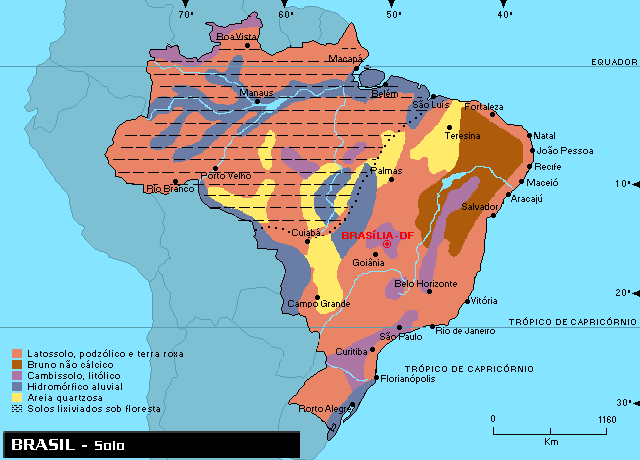 Mapa do Solo do Brasil