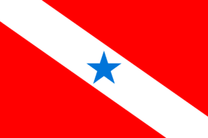 Bandeira do Pará