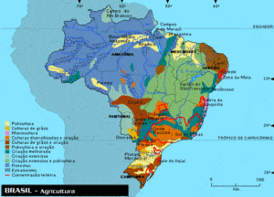 Mapa da Agricultura do Brasil