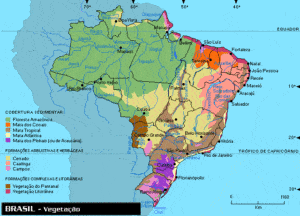 Mapa da Vegetação do Brasil