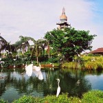 Parque Ecológico Mangal das Garças - Belém/ PA