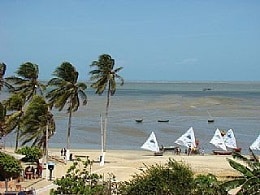 Cajueiro da Praia