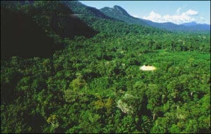 amazonia