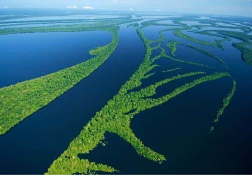 Bacia Amazônica